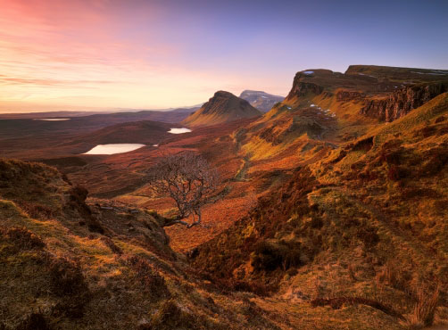 Bonsai na Quiraingu